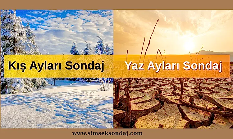 Sondaj Ne Zaman Yapılmalı