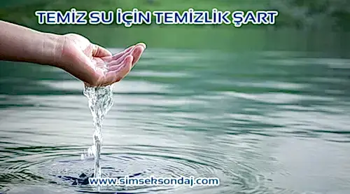 Fotoğraf