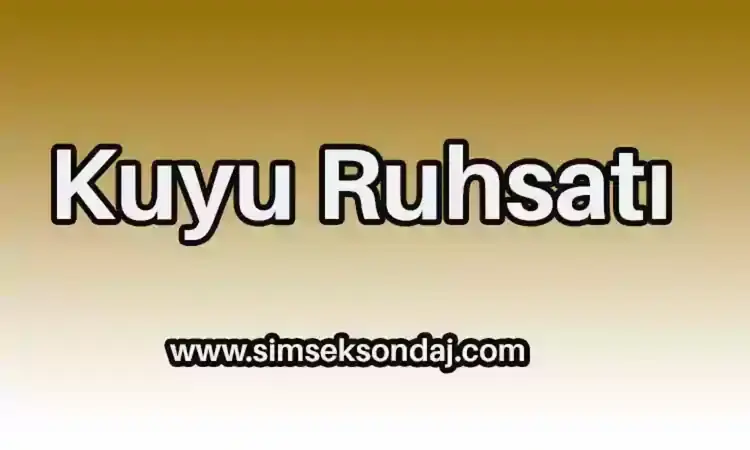 Kuyu Ruhsatları